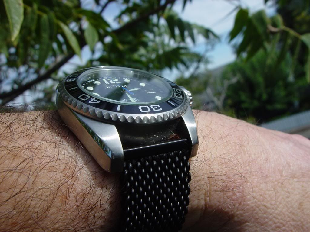 micro brand diver
